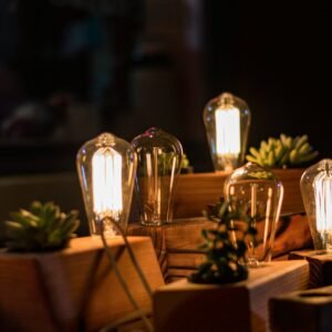 closeup photo of three lighted table lamps with plants